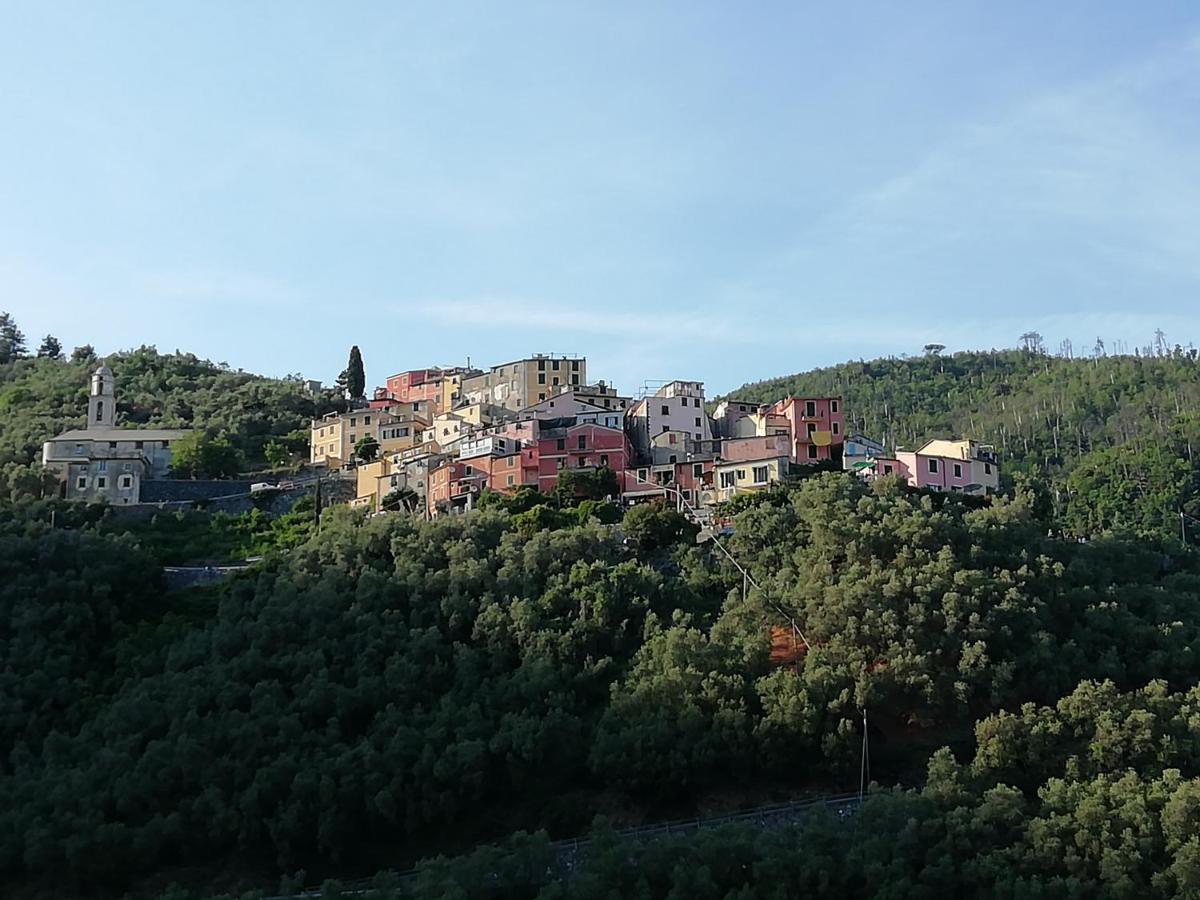 Casa Lorenzo Sulle Colline Di Levanto E Vicino Alle Cinqueterre Lt-0620 Bagian luar foto